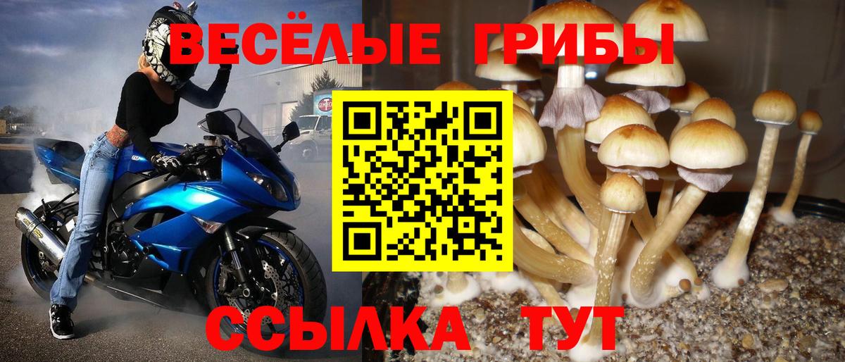 Шелехов  Псилоцибиновые грибы мицелий  Вход с VPN 